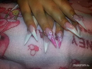 Best Nails - épitett zselé