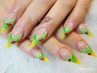 Tavaszváró körmi porci disszel