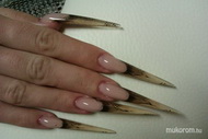 Stiletto