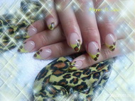sárga leopárd