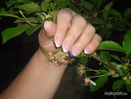 Zselés körömerősítés