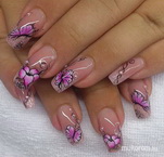 Virágok és lepkék