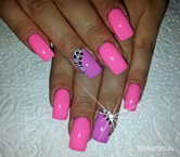 pink lila