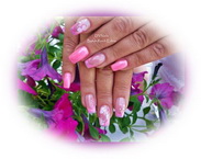 Pink Lila 1 Francia kombi 