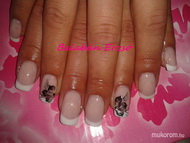 Szolíd egyszerűség