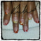 hőre változó kagylókkal 