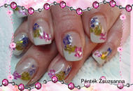 Best Nails - kagyló