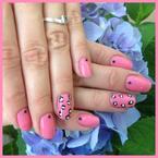 Foltos