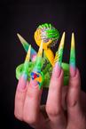 Best Nails - fifa vb