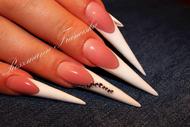 Best Nails - French stiletto