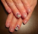 Zselé és crystalac