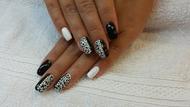 leopardos