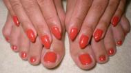 Royal gel