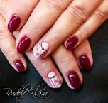 Best Nails - évi