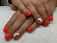 Best Nails - Pipacsos zselé és gél lakk