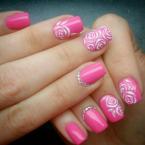 Pink rose