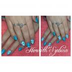Shellac