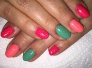 Best Nails - Müköröm