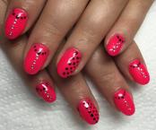 Best Nails - Müköröm