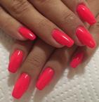 Best Nails - Müköröm