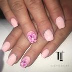 Pink orchid