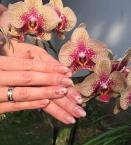 Best Nails - babyboomer