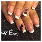 Francia tollas madaras