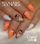 Best Nails - Műköröm 