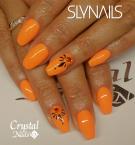 Best Nails - Mukorom