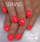 Best Nails - Mukorom