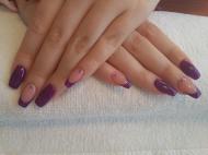 Lila francia