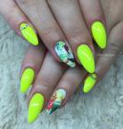 Tropics