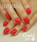 Best Nails - Mukorom 