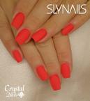 Best Nails - Mukorom