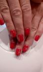Best Nails - Zsuzsi