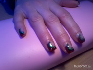 Vendégem kérésére