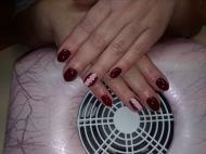 nails by timi