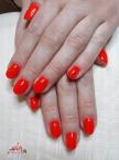 neon korall