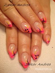 Best Nails - Zselés