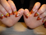 Kaméleon cicusok Barbinak2