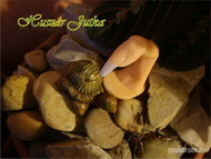 Képzés előtti mandula