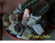 Képzés előtti kocka