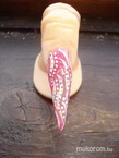 Best Nails - Gyakorlás