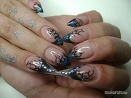 Petrám virágkontúrosa