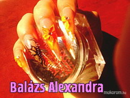 Best Nails - saját
