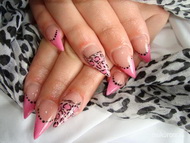 pink leopard