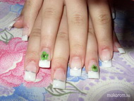 beépitett zöld virág