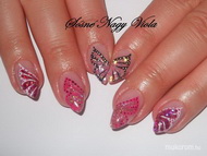 Sokszínű pillangószárnyak