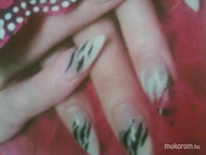 Best Nails - Zebrás