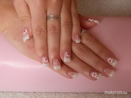 Ismét francia  Anikónak